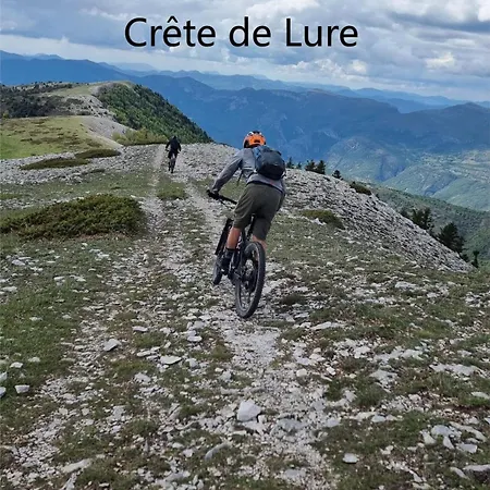 Coeur De Ville, T2, Rue Pietonne, Les Bains דירה
