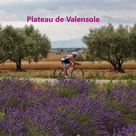 Apartment Coeur De Ville, T2, Rue Pietonne, Les Bains Digne-les-Bains